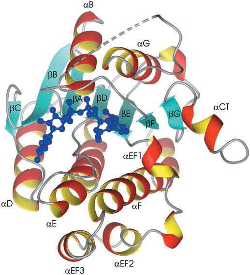 Enzyme Activity Measurement for 3Alpha-Hydroxysteroid 3-Dehydrogenase (Si-specific) Using Spectrophotometric Assays